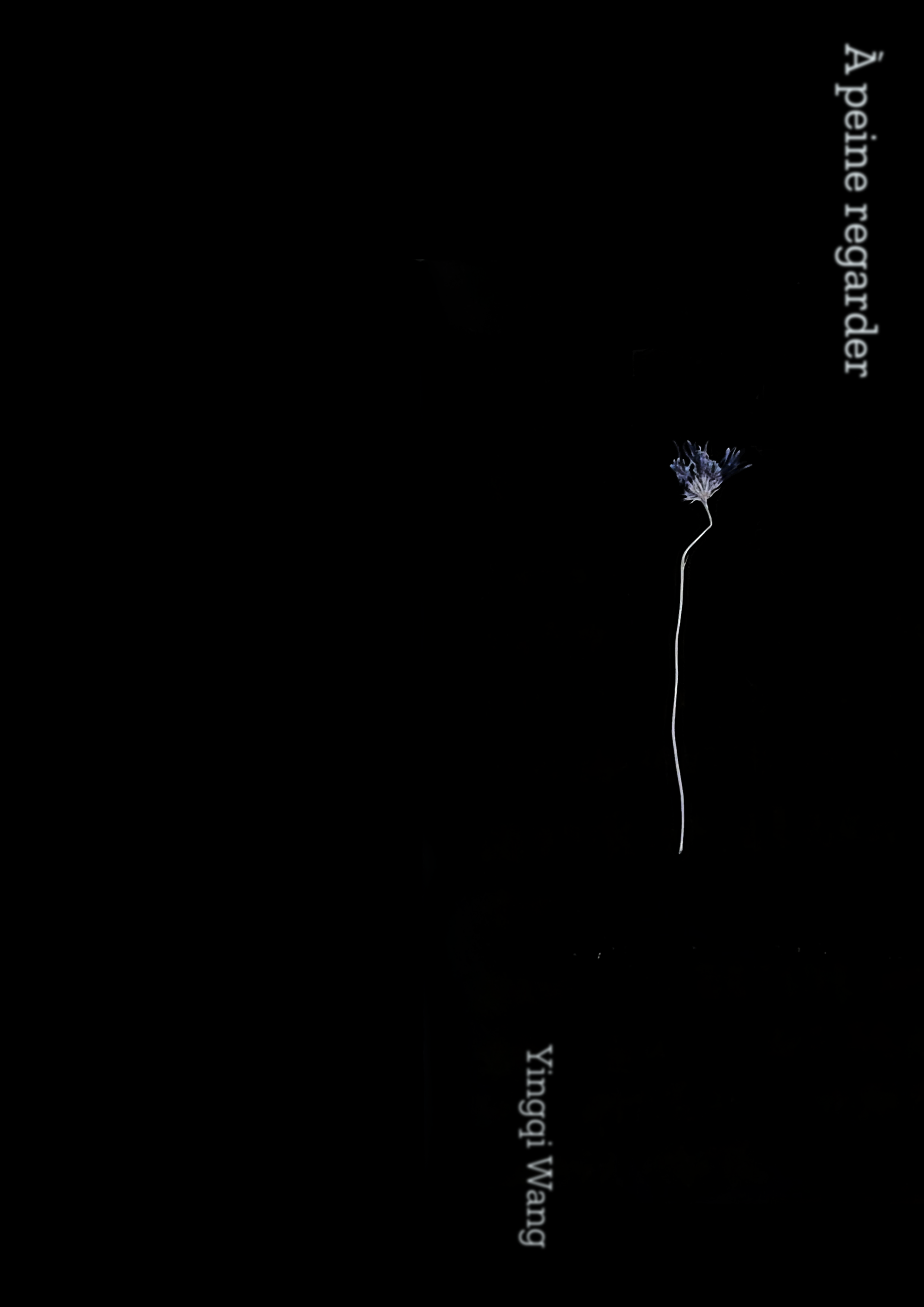 Couverture — À peine regarder par Yingqi Wang